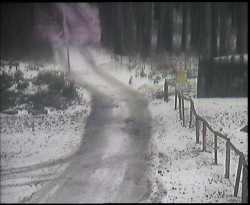 Nástup na běžecké tratě