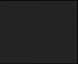 Nástup na běžecké tratě