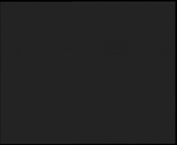 Nástup na běžecké tratě