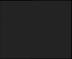 Nástup na běžecké tratě