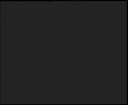 Nástup na běžecké tratě