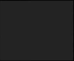 Nástup na běžecké tratě