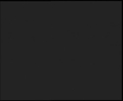 Nástup na běžecké tratě