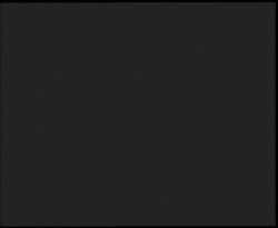 Nástup na běžecké tratě