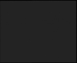 Nástup na běžecké tratě