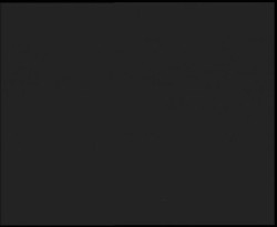 Nástup na běžecké tratě