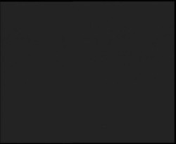 Nástup na běžecké tratě