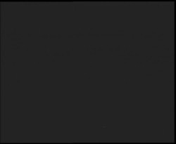 Nástup na běžecké tratě