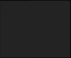 Nástup na běžecké tratě