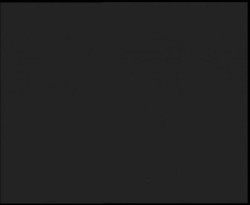 Nástup na běžecké tratě