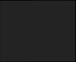 Nástup na běžecké tratě