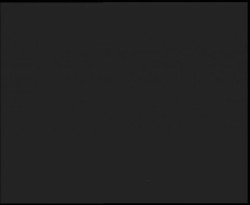 Nástup na běžecké tratě