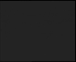 Nástup na běžecké tratě