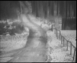 Nástup na běžecké tratě