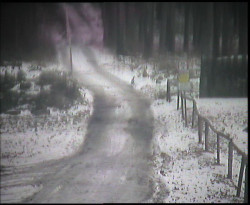 Nástup na běžecké tratě