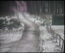 Nástup na běžecké tratě