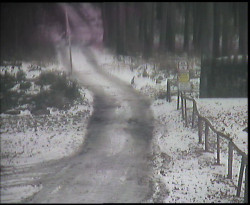 Nástup na běžecké tratě