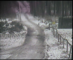 Nástup na běžecké tratě