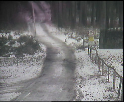 Nástup na běžecké tratě