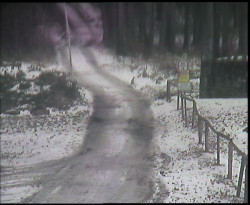 Nástup na běžecké tratě