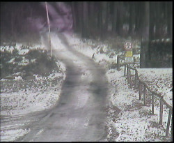 Nástup na běžecké tratě