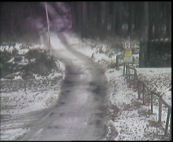 Nástup na běžecké tratě