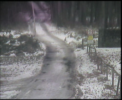 Nástup na běžecké tratě