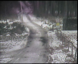 Nástup na běžecké tratě