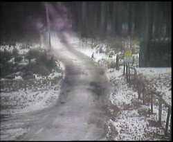 Nástup na běžecké tratě