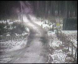 Nástup na běžecké tratě