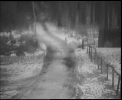 Nástup na běžecké tratě