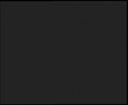 Nástup na běžecké tratě