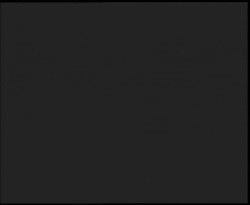 Nástup na běžecké tratě