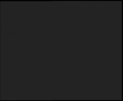 Nástup na běžecké tratě