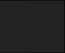 Nástup na běžecké tratě