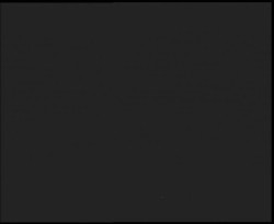 Nástup na běžecké tratě