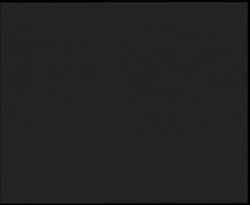 Nástup na běžecké tratě