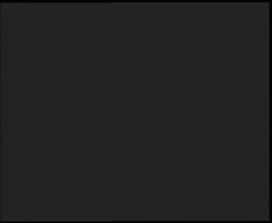 Nástup na běžecké tratě