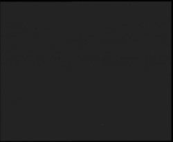 Nástup na běžecké tratě