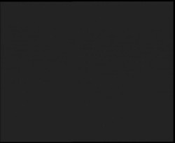 Nástup na běžecké tratě