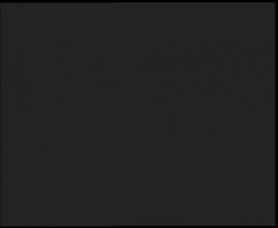 Nástup na běžecké tratě