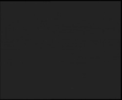 Nástup na běžecké tratě