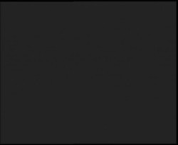 Nástup na běžecké tratě