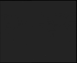 Nástup na běžecké tratě