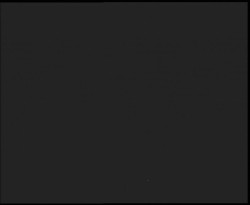 Nástup na běžecké tratě