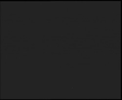 Nástup na běžecké tratě