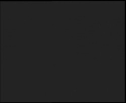 Nástup na běžecké tratě