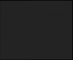 Nástup na běžecké tratě