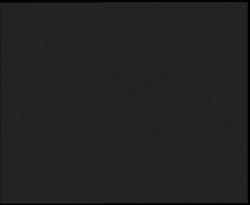 Nástup na běžecké tratě