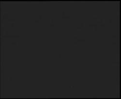 Nástup na běžecké tratě